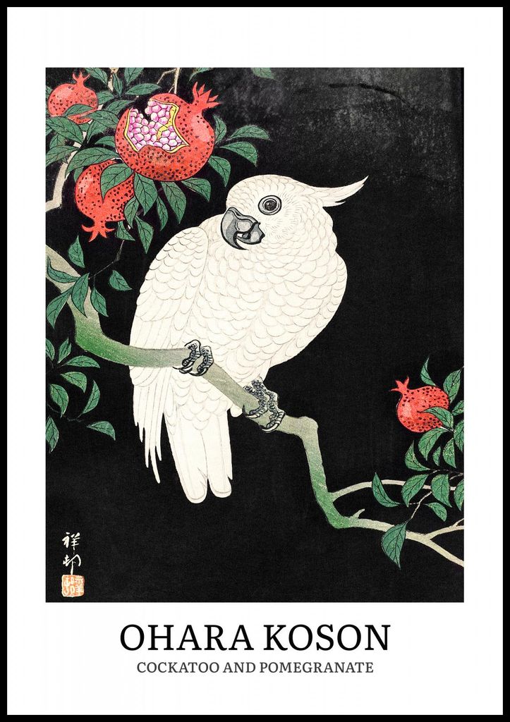 Poster 70x100cm Design Kakadu, Koson Vintage für das Wohnzimmer