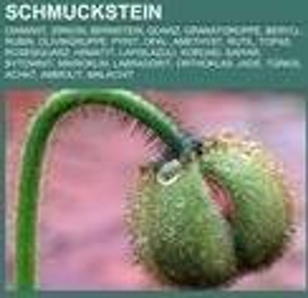 Schmuckstein