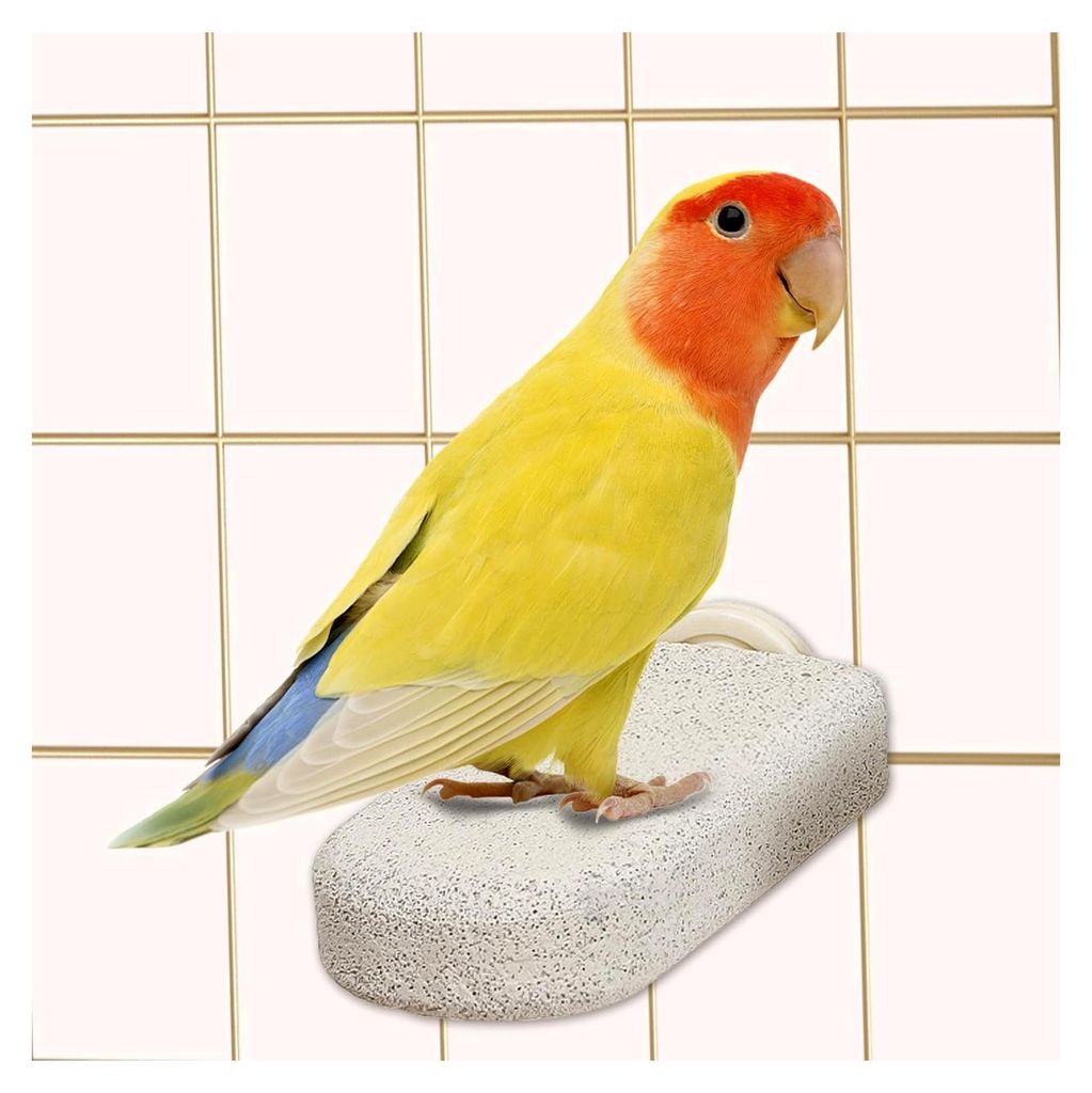 2 Stück Naturstein-Sitzstange für Vögel, Spielzeug zum Zähneknirschen und Krallenfeilen für Wellensittiche, Nymphensittiche, Conures und klein...