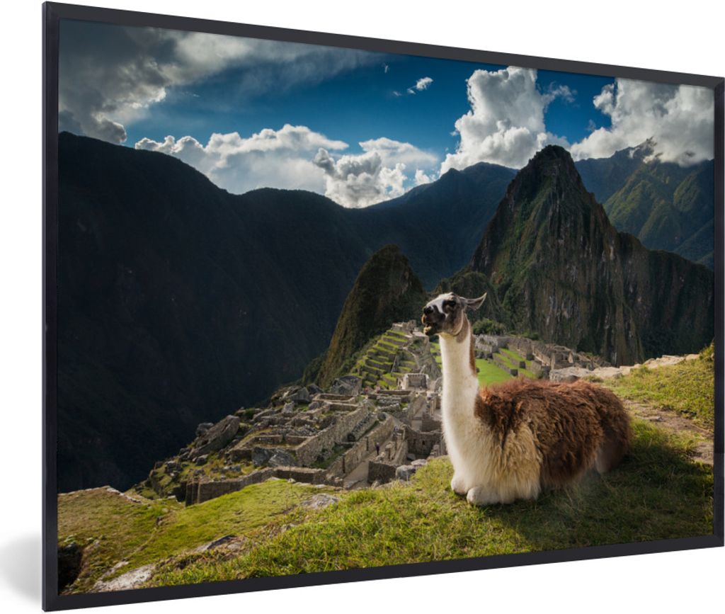 MuchoWow Gerahmtes Poster Alpaka in Machu Picchu 30x20 cm - Poster mit Schwarzem Bilderrahmen Wandposter Rahmen Foto Bilder - Kunstdruck - Bild-P...