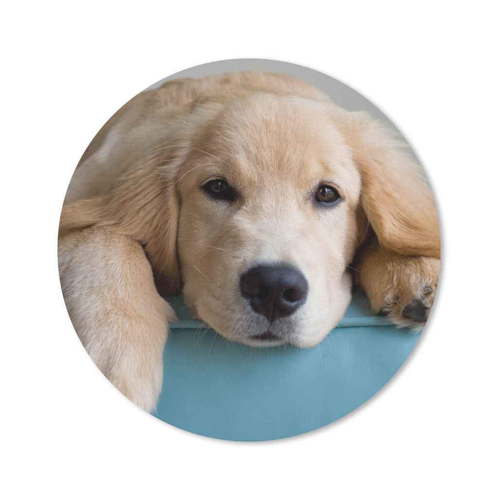 MuchoWow Mauspad Mousepad Ein liegender Golden Retriever 30x30 cm - Mousepads - Maus Mat - Pad - Mausunterlage - Tischunterlage - Schreibtischmatten