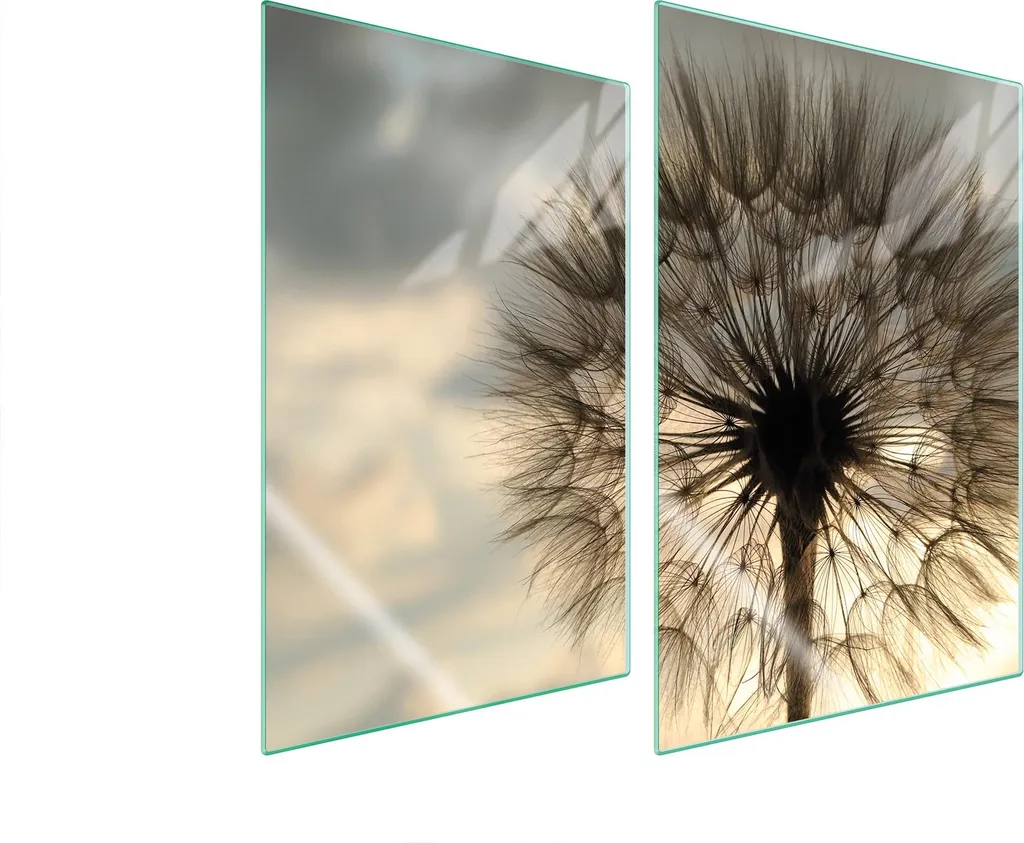 Copri Piano Cottura Vetro 35x52 Dandelion Beige | Protezione Induzione