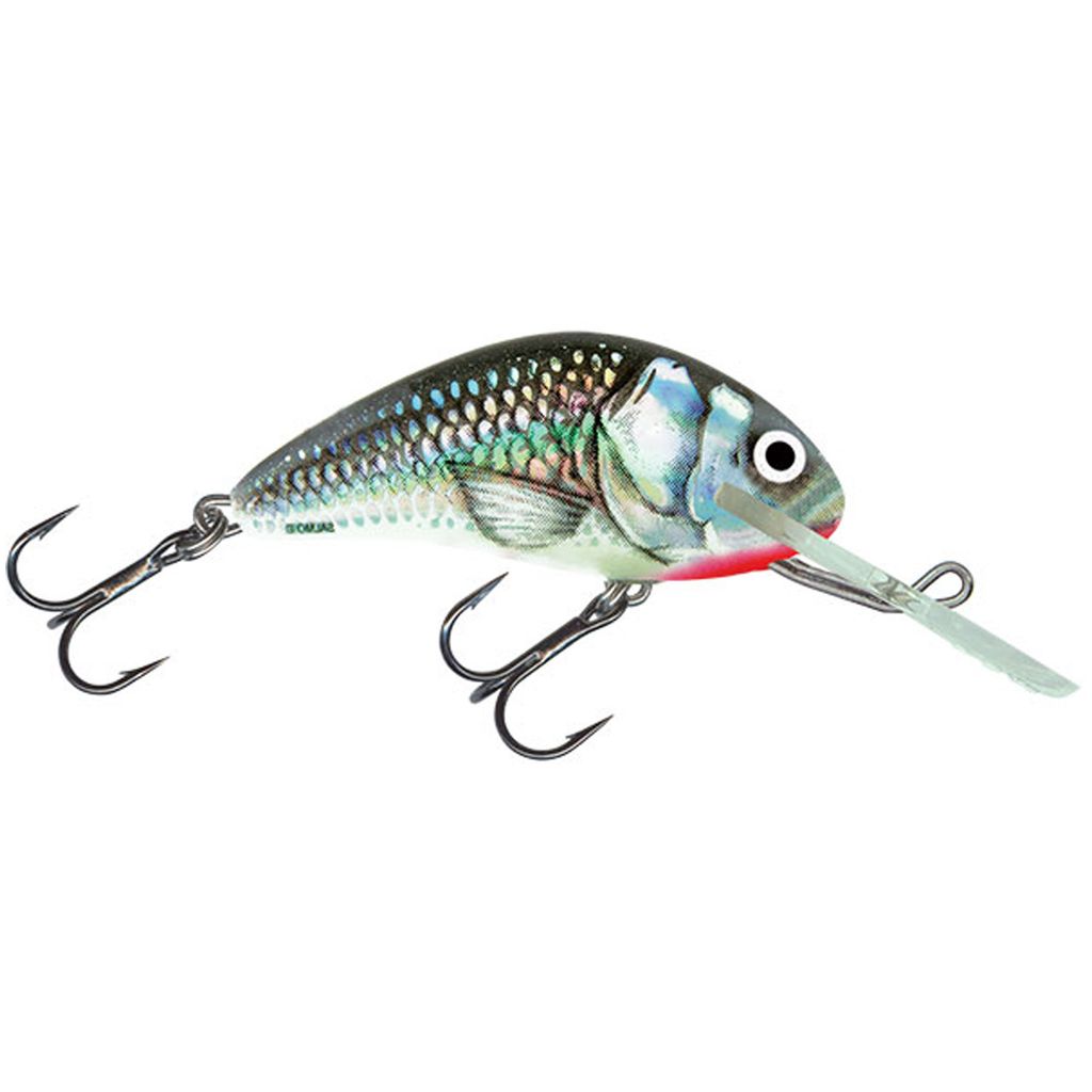 Salmo Hornet Floating Holographic Grey Shiner 6 cm 10 g Produktbild 