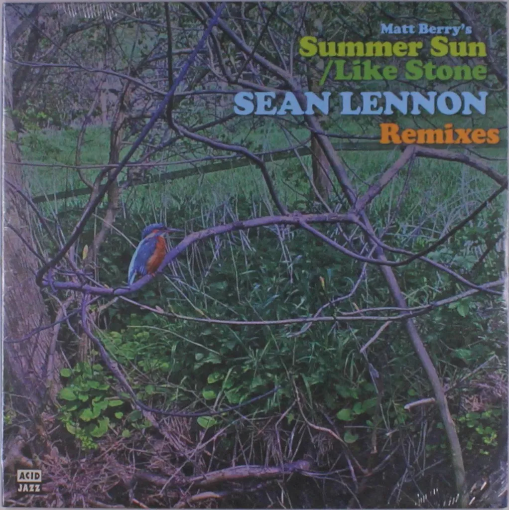 Disque Vinyle Matt Berry Summer Sun 12" : Retrouvez le Vrai Son Rock