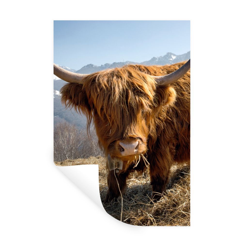 MuchoWow Wandtattoo Wandsticker Wandaufkleber Schottischer Highlander - Berg - Schnee 40x60 cm Selbstklebend und Repositionierbar - Wierderverwen...