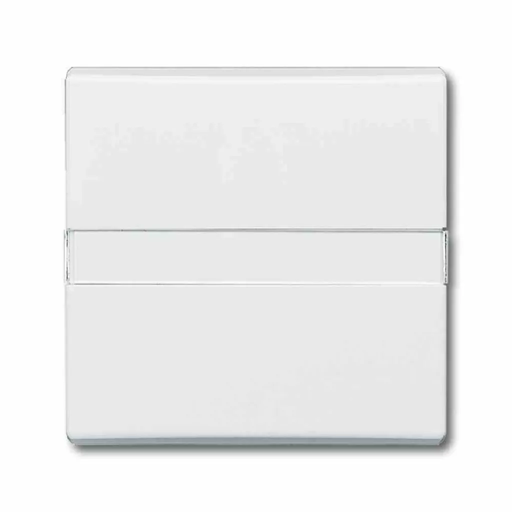 Interrupteur de Tirage Allwetter 44 Busch-Jaeger 2106 N-34 avec Plaque