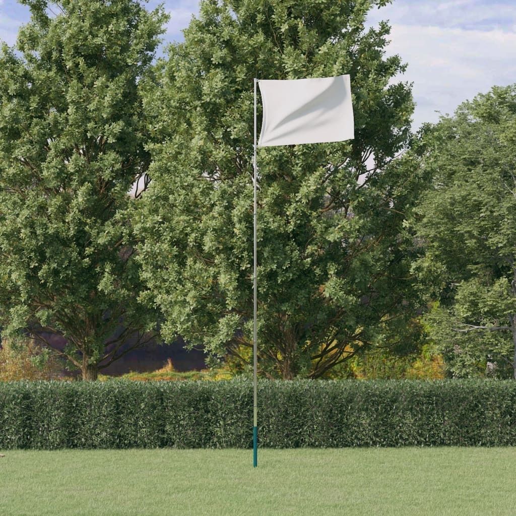 "2026 Promotion" Teleskop-Fahnenmast Silbern 5,5 m Aluminium - Flaggen CC1651