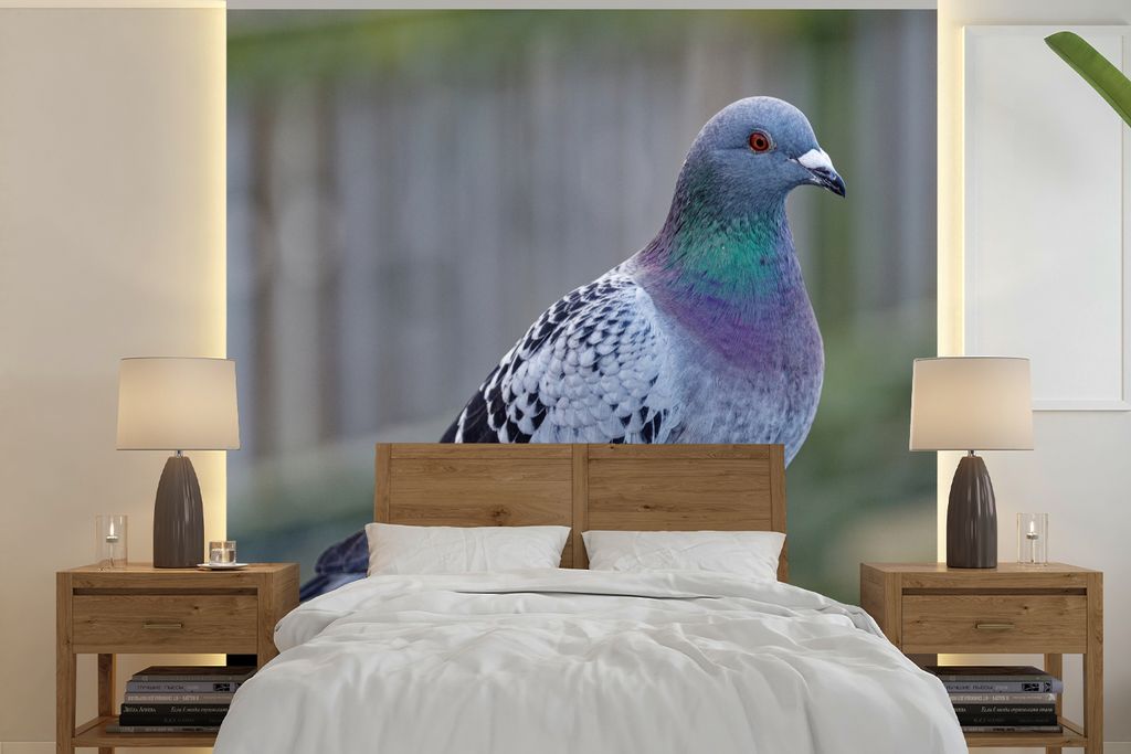 MuchoWow Fototapete für Wohnzimmer oder Schlafzimmer Wandtapete Vinyl Motivtapete Taube - Vogel - Lila - Federn - 280x280 cm - Hintergrundbild
