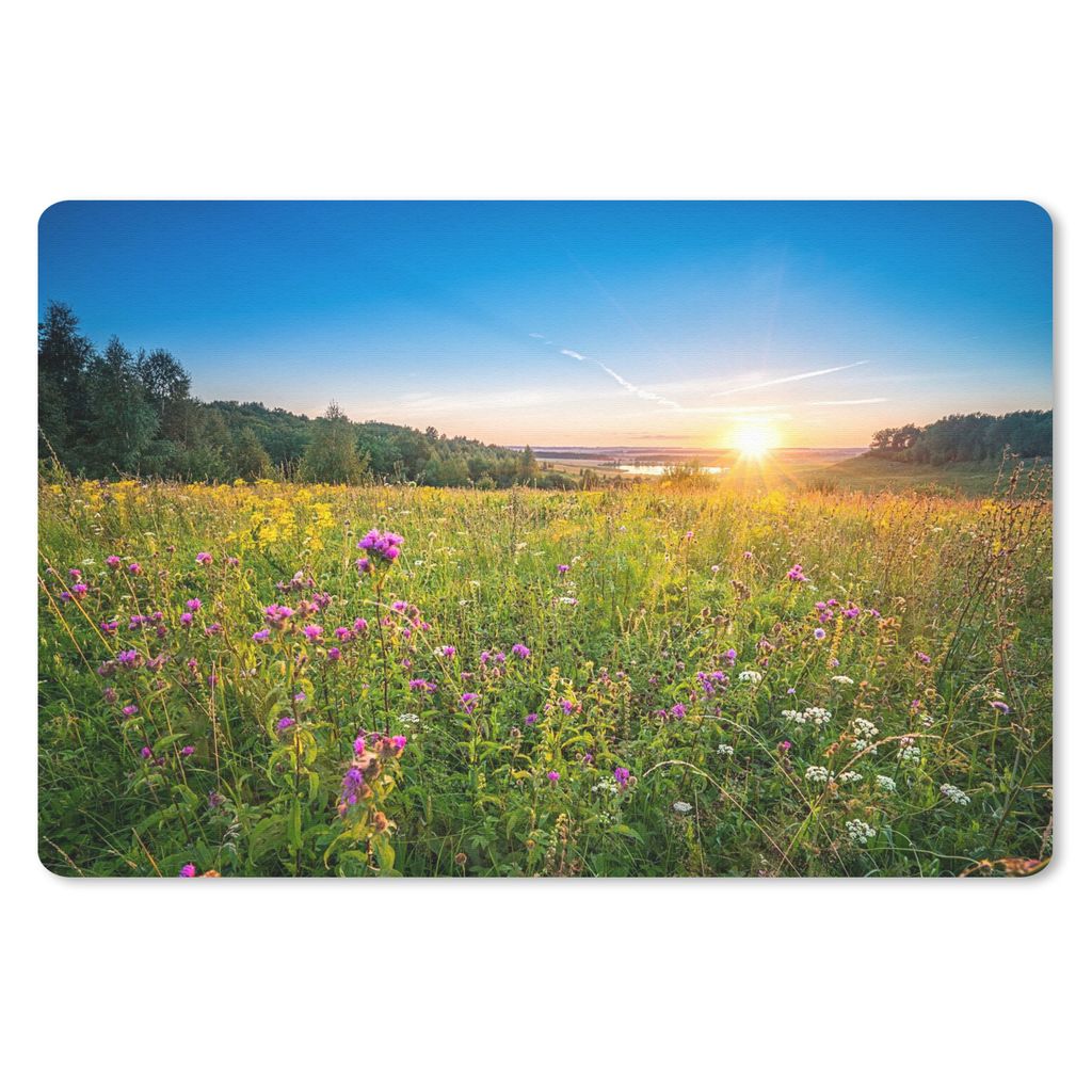 MuchoWow Schreibtischunterlage Sonne - Gras - Blumen 60x40 cm - XXL Mauspad - Großes Mauspad