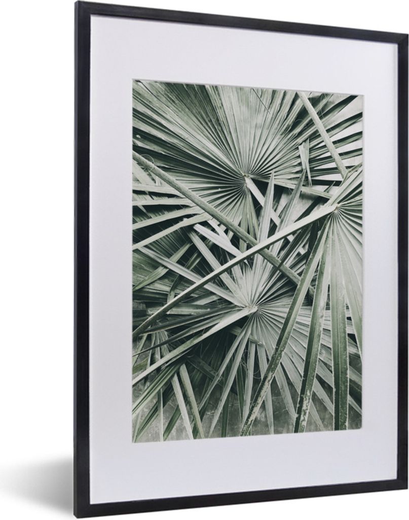 MuchoWow Gerahmtes Poster Tropisch - Palmenblatt - Grün 30x40 cm - Poster mit Schwarzem Bilderrahmen Wandposter Rahmen Foto Bilder - Wandposter ...