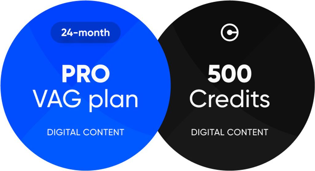 OBDeleven PRO PLAN 24 monate + 500 Credits (Gutschriften)