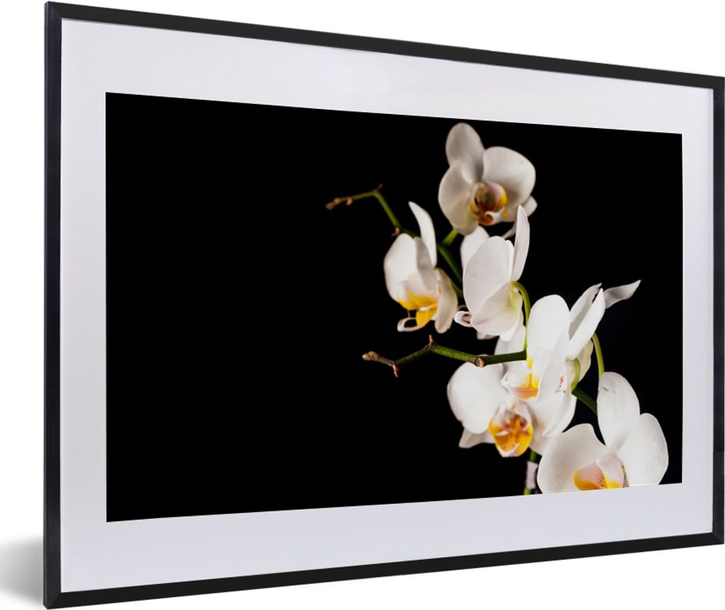 MuchoWow Gerahmtes Poster Orchidee - Blumen - Pflanzen - Botanisch 60x40 cm - Poster mit Schwarzem Bilderrahmen Wandposter Rahmen Foto Bilder - S...