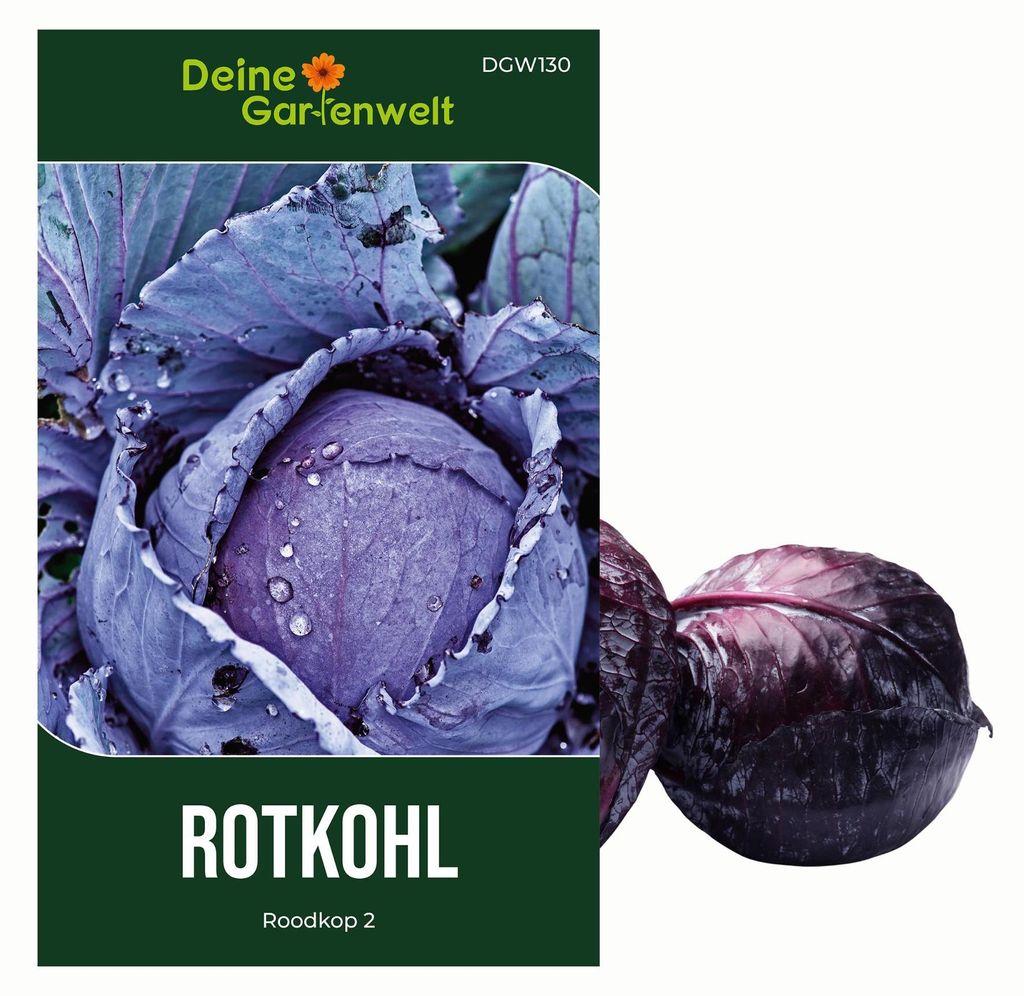 Rotkohl Roodkop 2 Samen - Brassica oleracea - Rotkohlsamen Produktbild 