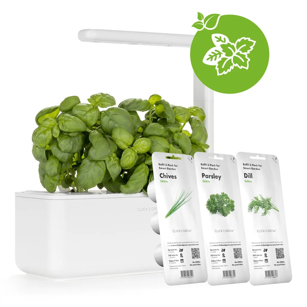 Click & Grow Pods Dill - Recharge Aneth pour Potager Intérieur (Lot de 3) - 2