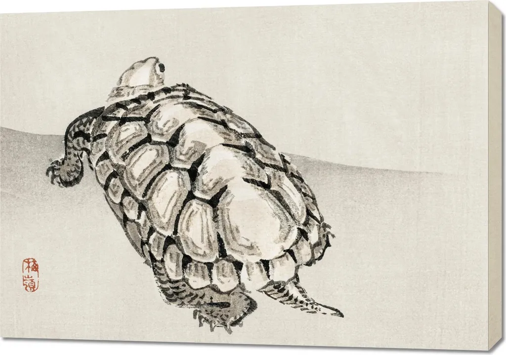 Poster Artistico Tartaruga Kōno Bairei | Stampa Giapponese 100x70 cm