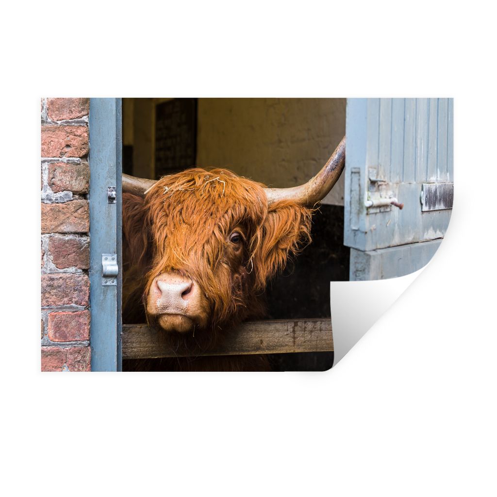 MuchoWow Wandtattoo Wandsticker Wandaufkleber Schottischer Highlander - Bauernhaus - Scheune 30x20 cm Selbstklebend und Repositionierbar - Wierde...