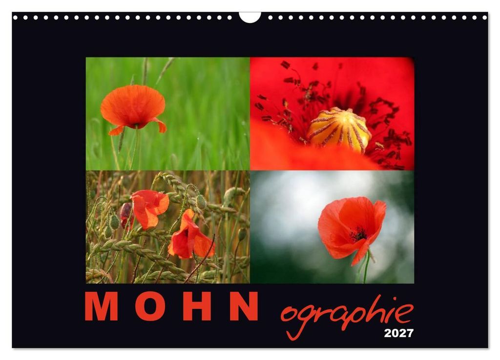 MOHNographie (Wandkalender 2027 DIN A3 quer), CALVENDO Monatskalender