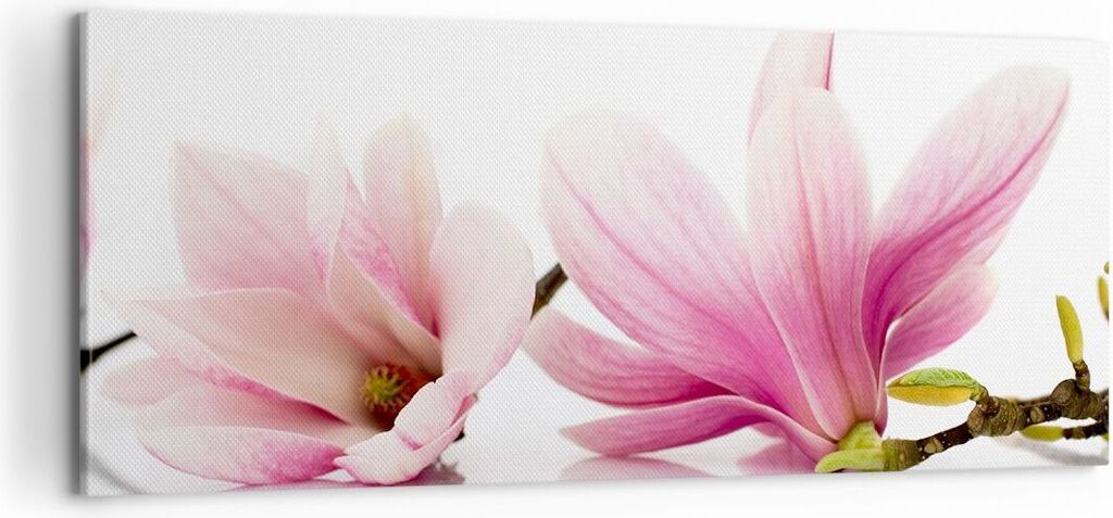 Bild auf Leinwand - Leinwandbild - Magnolie blume natur pflanze - 100x40cm - Wand Bild - Wanddeko - Leinwanddruck - Bilder - Kunstdruck - Wanddekor...