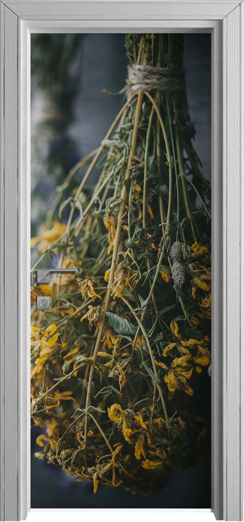 Tür Selbstklebende 80x210 cm Türfolie Türtapete Klebefolie - Hängende Kräuter Herbs