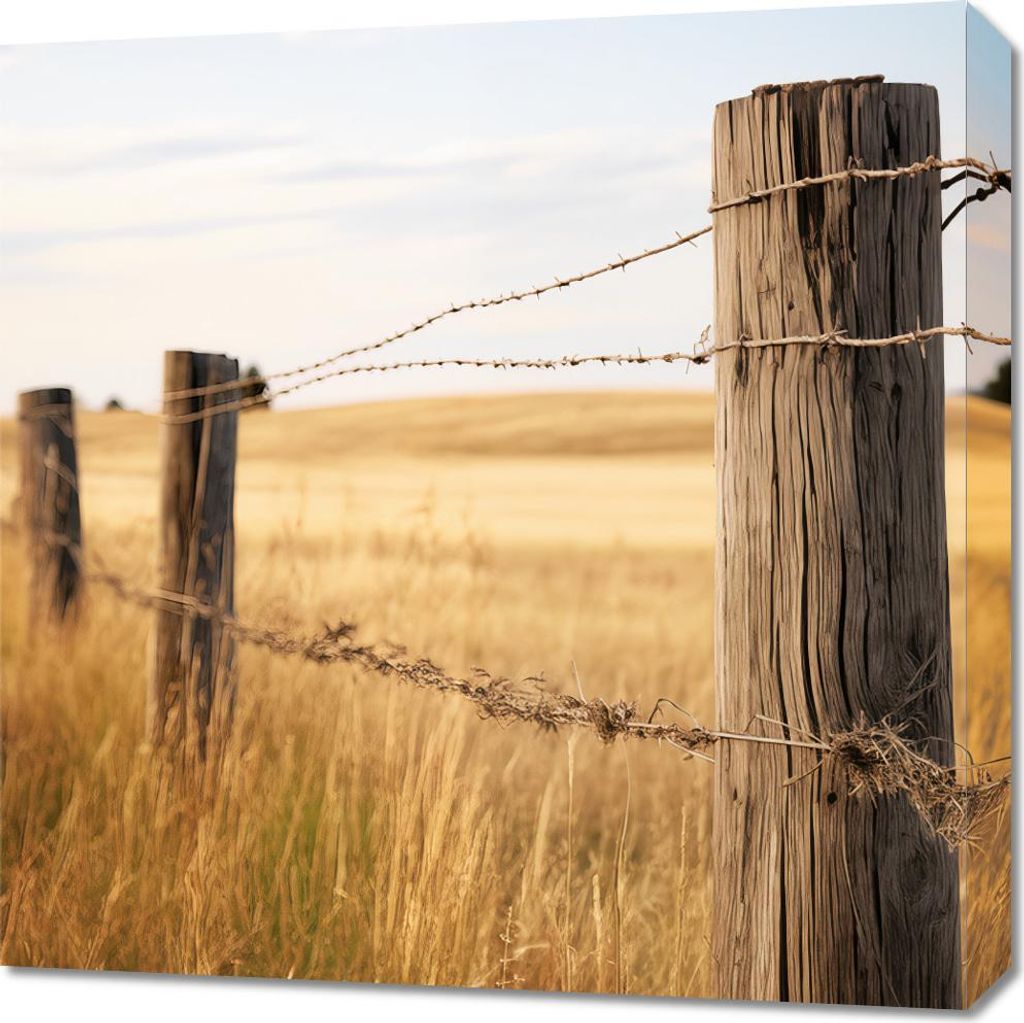 Bild 60x60cm Zaun auf dem Feld