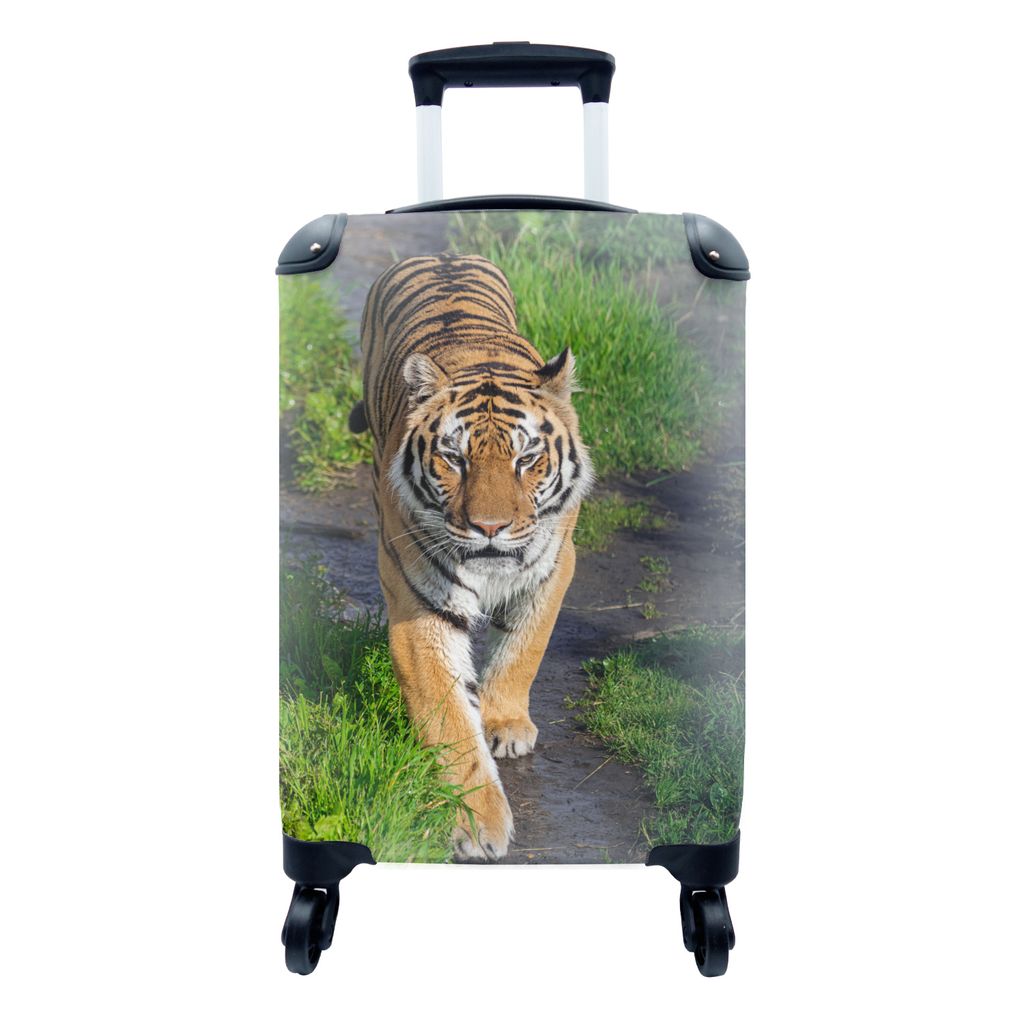 MuchoWow Koffer Handgepäck Trolley Rollkoffer Kleine Reisekoffer mit 4 Rollen - Tiger - Gras - Tiere - Cabin Size < 55x40x23 cm & 55x40x20 cm - ...
