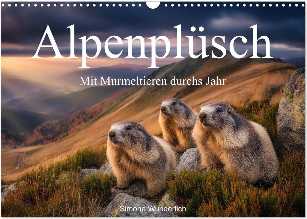 Alpenplüsch - Mit Murmeltieren durchs Jahr (Wandkalender 2026 DIN A3 quer), CALVENDO Monatskalender
