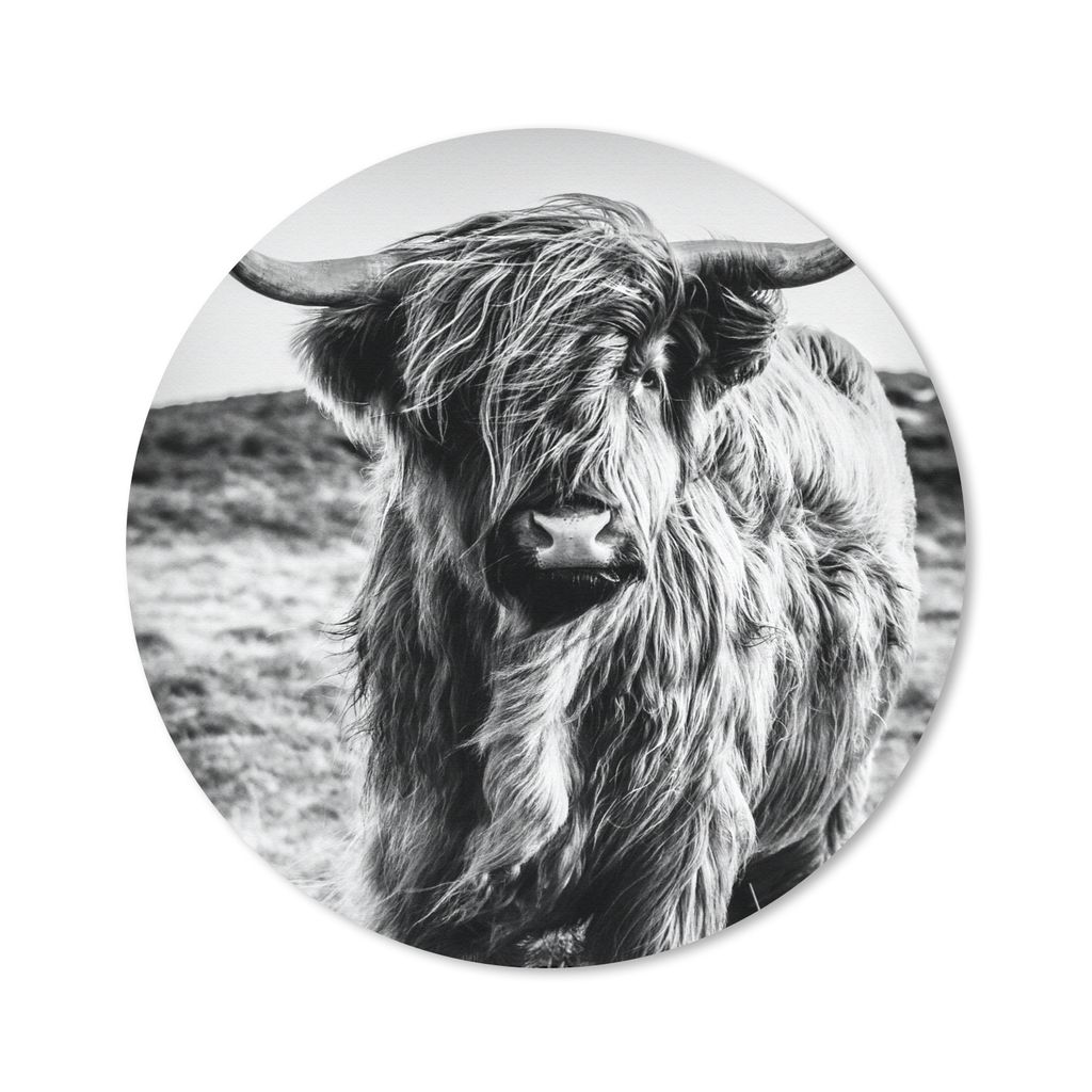 MuchoWow Mauspad Mousepad Schottischer Highlander - Natur - Kuh - Schwarz - Weiß 20x20 cm - Mousepads - Maus Mat - Pad - Mausunterlage - Schreib...