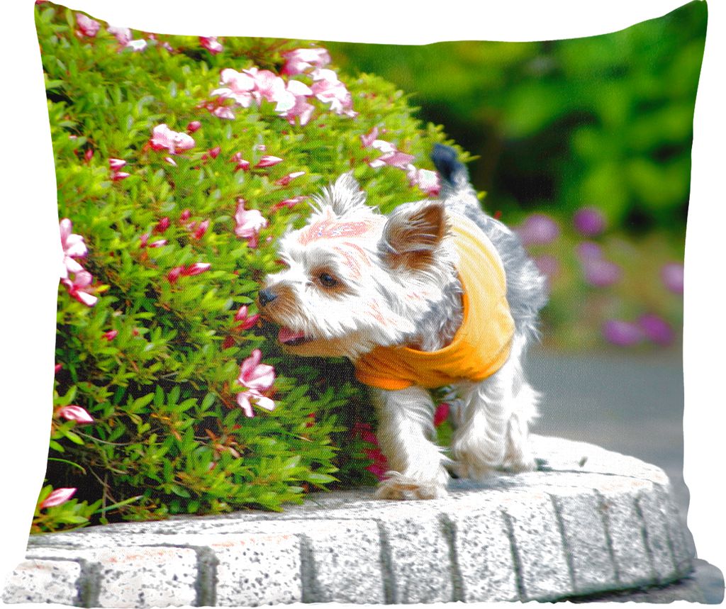 MuchoWow Zierkissen Sofakissen Wohnzimmer Dekokissen 40x40 cm Ein Yorkshire Terrier läuft an bunten Blumen vorbei - Foto Kissen - Schlafzimmer D...