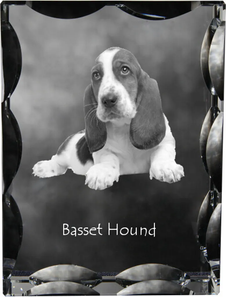 Specifiche Cristallo Art-Dog Basset Hound - Vetro Inciso Professional