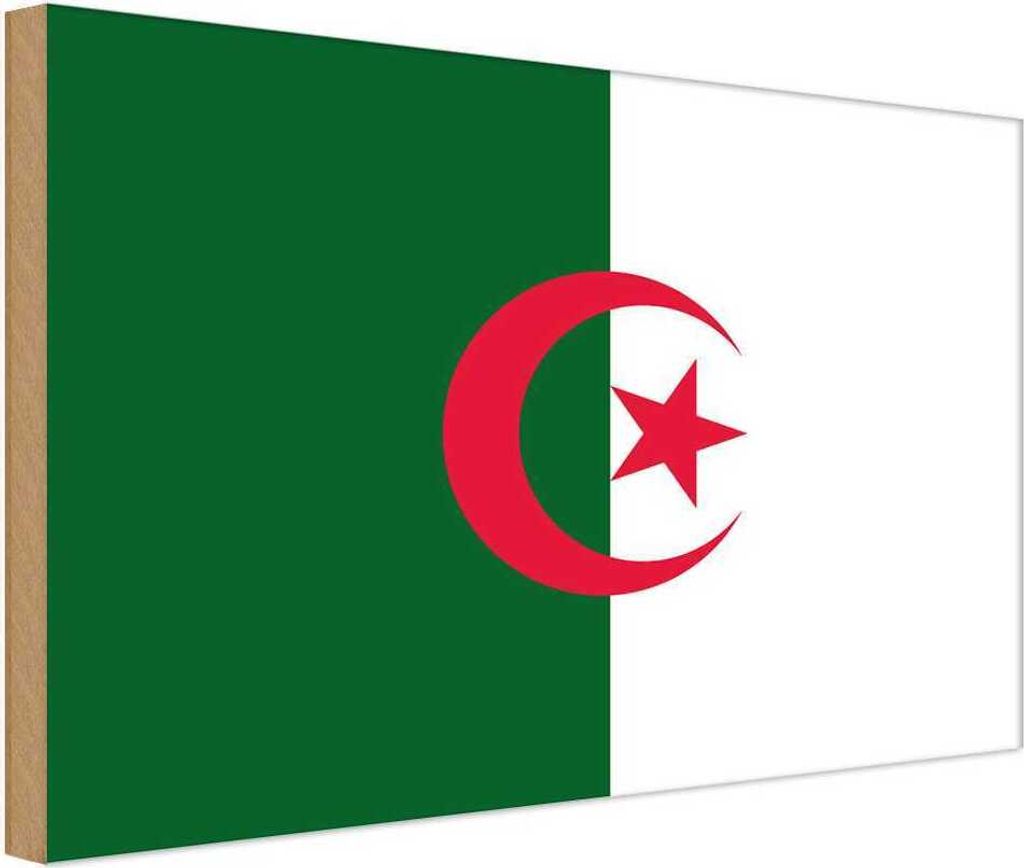 vianmo Holzschild 20x30 cm Algeriens Algeria Flagge Fahne Produktbild 