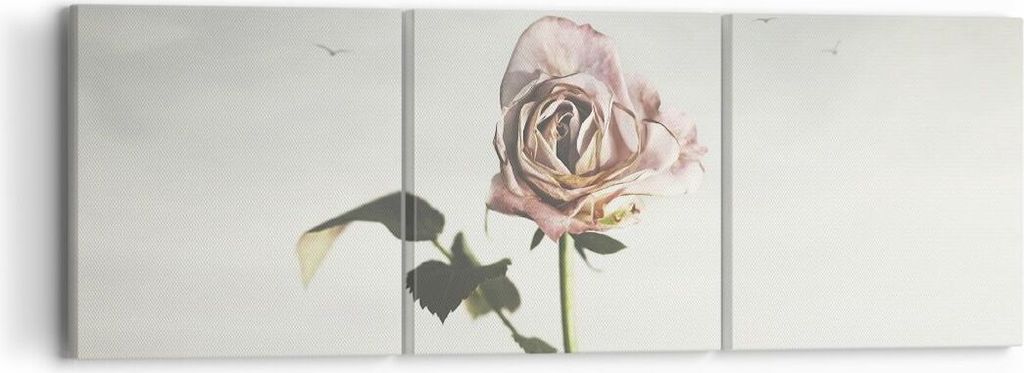 Bild auf Leinwand - Leinwandbild - 3 Teile - Rose Vögel Himmel - 90x30cm - Wand Bild - Wanddeko - Wandbilder - Leinwanddruck - Bilder - Wanddekora...