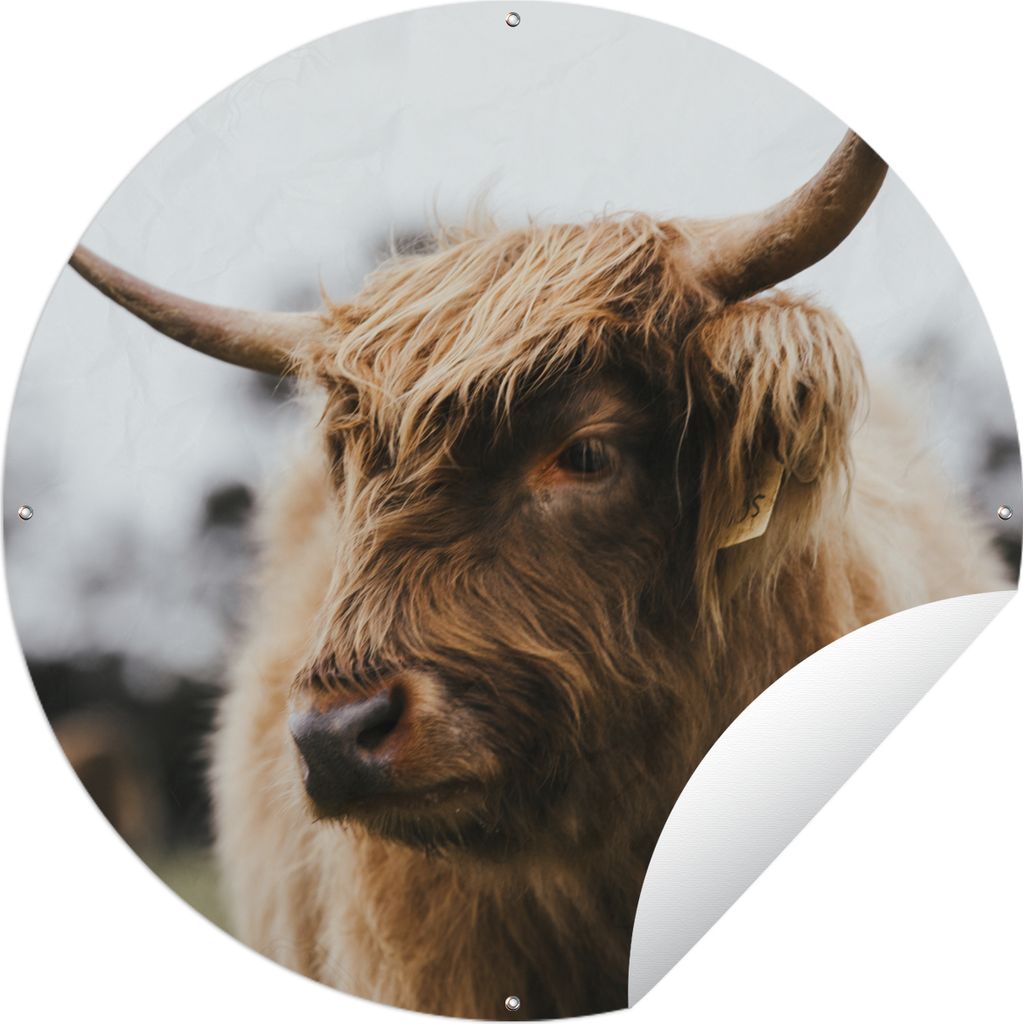 MuchoWow Gartenposter Outdoor-Poster Rund Schottischer Highlander - Tiere - Hörner Ø 150 cm Gartendeko Rundes Poster draußen