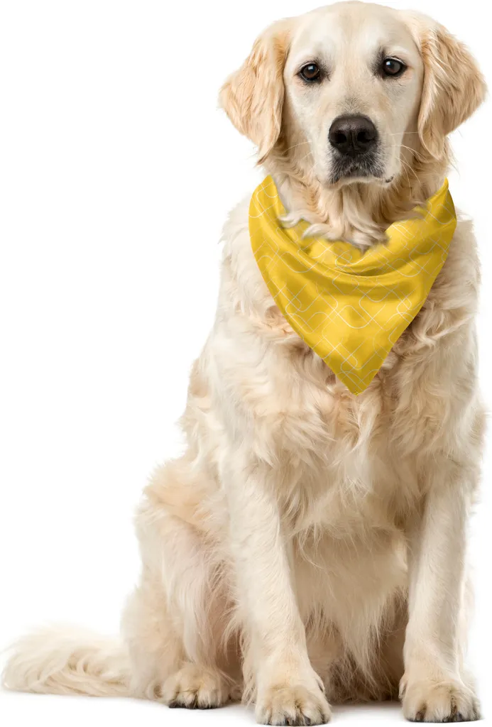 ABAKUHAUS Bandana astratta per animali domestici, motivi geometrici Squircles, 40x40 cm, senape e bianco