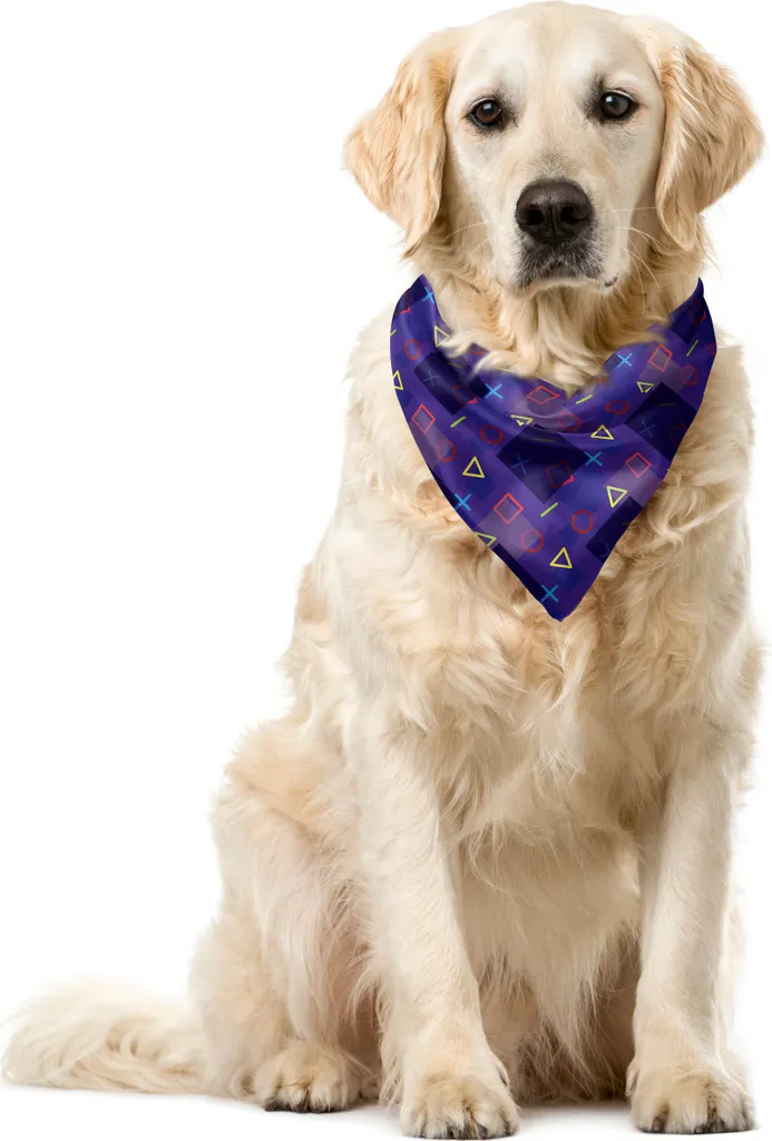 Bandana Cane Hipster Memphis Mathematics 55cm - Stile 80s Geometrico
