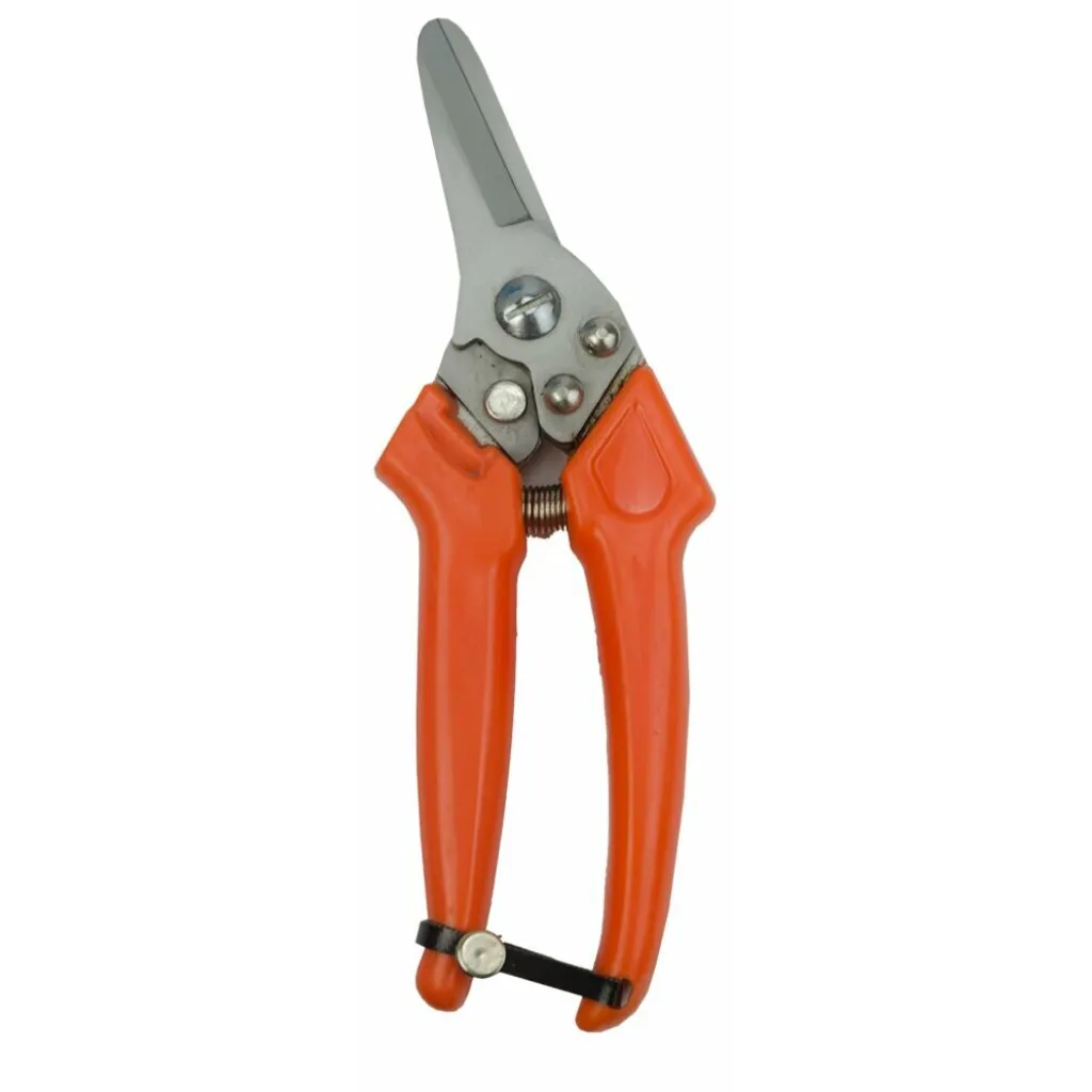 Cesoie Professionali per Zoccoli Ovini: Forbici Artiglio Pecora Olandese