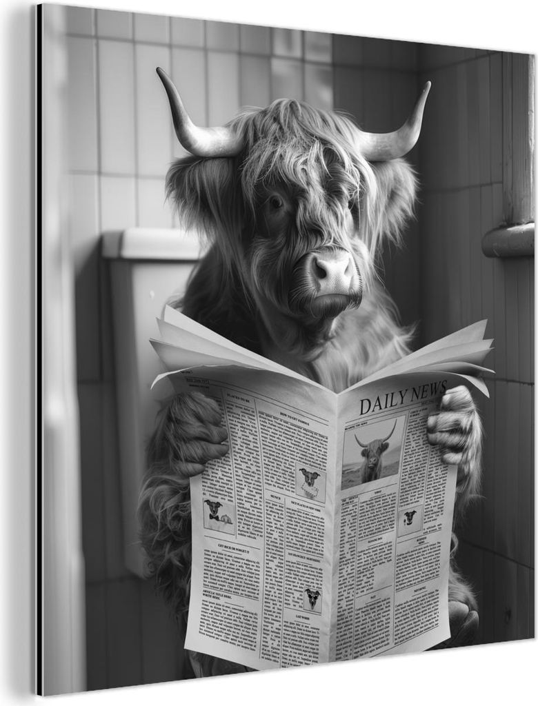 MuchoWow Wanddekoration Metall Metallbild Wandkunst 20x20 cm Schottisches Hochlandrind - Kuh - Zeitung - WC - Schwarz-Weiß MuchoWow Aluminium Gem...