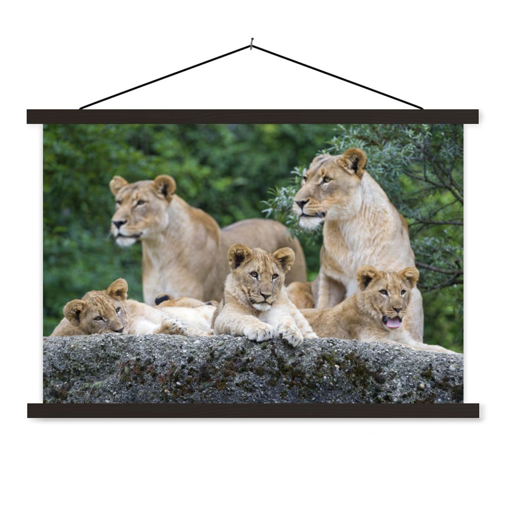 MuchoWow Textilposter Löwen - Tiere - Jungtiere 90x60 cm mit schwarzem Rahmen - Aufhängungssatz