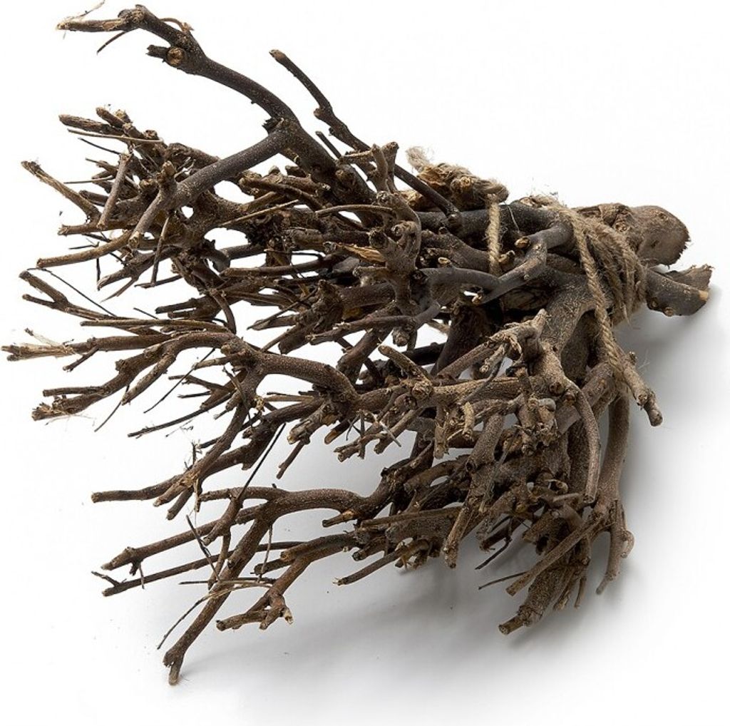 Dekobündel John Branch Natur ca. 35 cm – ca. 0,5 kg Naturzweige für Vasen, Bastelideen, Holzdeko & Krippenbau, gebundenes Zweigbündel