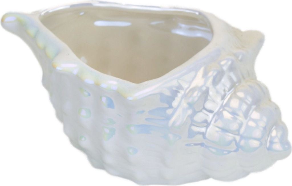 Bol en céramique coquille, perle blanche, 8x19 cm Image du produit 