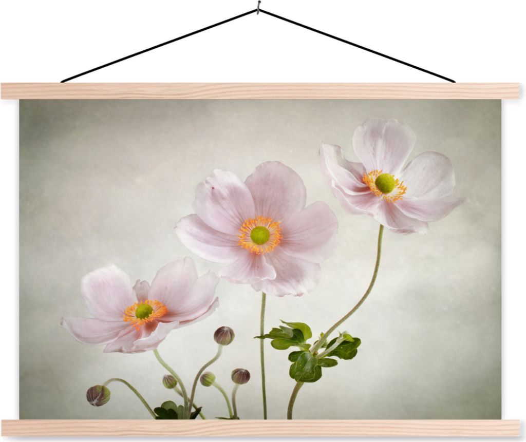 MuchoWow Textilposter Blumen - Stillleben - Ölfarbe - Mohn - Rosa 60x40 cm mit holzfarbenen Rahmen - Bilder
