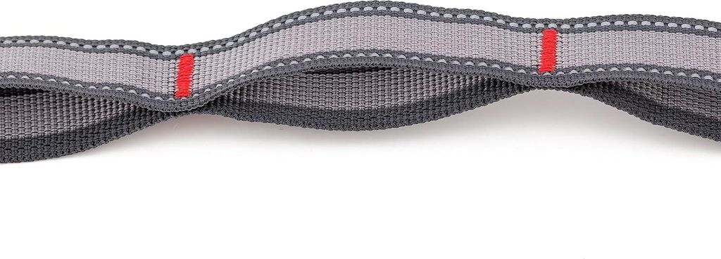 Ridgeline Tie-Out Riem für Hunde, baumfreundliches Gewebe mit reflektierender Naht, mit praktischen Schlaufen und Haken, inklusive Tragetasche, gr...
