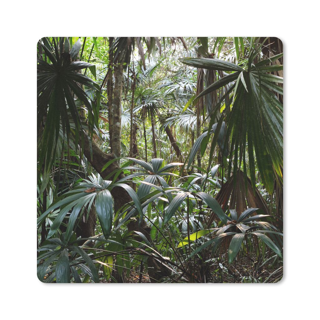 MuchoWow Mauspad Mousepad Pflanzen im Regenwald 20x20 cm - Mousepads - Maus Mat - Pad - Mausunterlage - Desk Mat - Bureauartikeln
