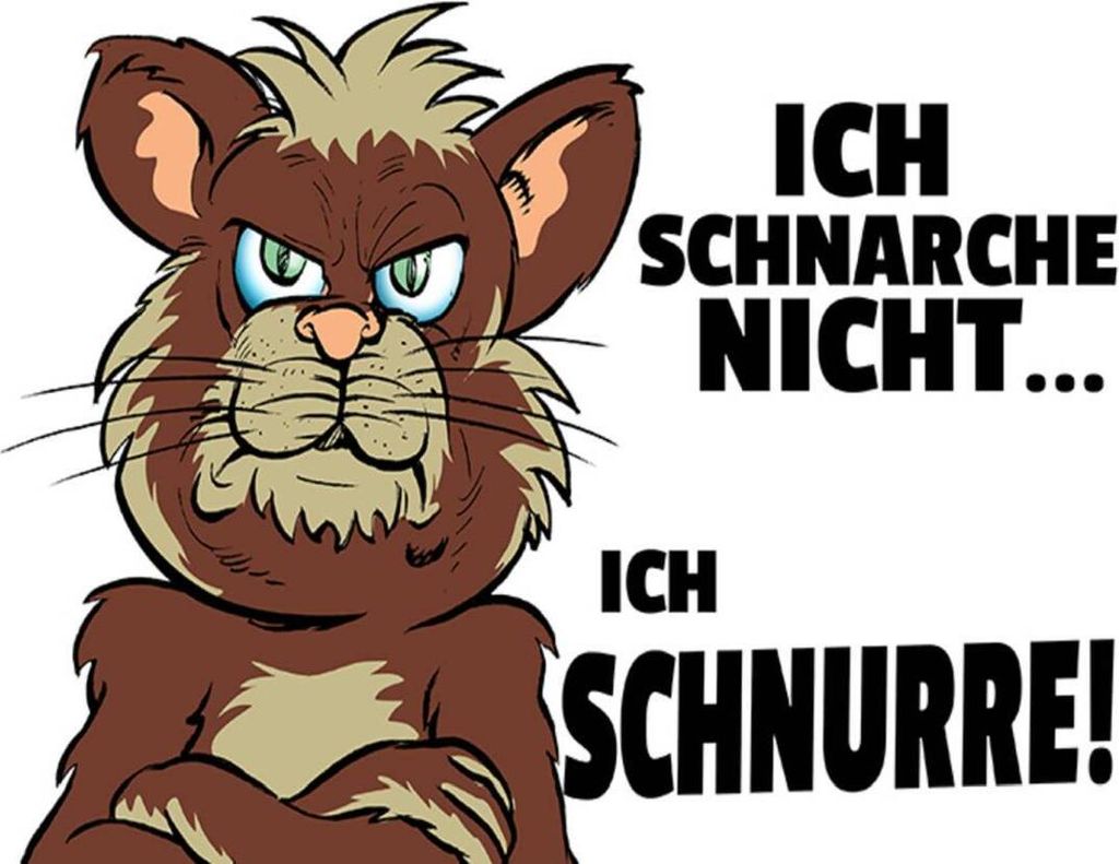 vianmo Holzschild 30x40 cm ich schnarche nicht ich schnurre