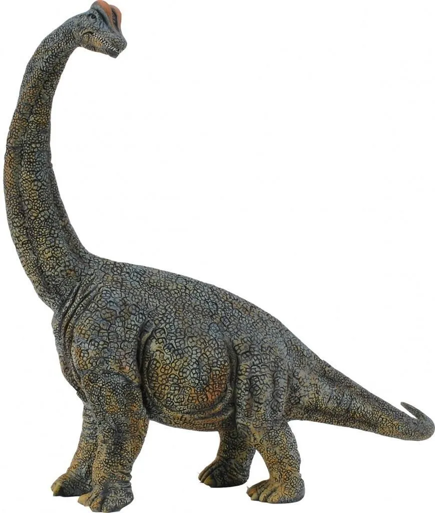 Dinosaure Brachiosaurus Figurine Deluxe - Modèle Collecta 88405 27cm