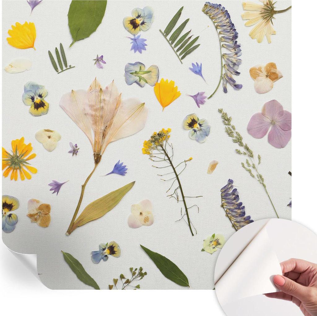 Selbstklebende Wandtapete - Dekorative Tapete für Wohnzimmer - Klebefolie für Wandbilder - Tapetenfolie für Wanddekoration - 250x250 cm - Frühl...