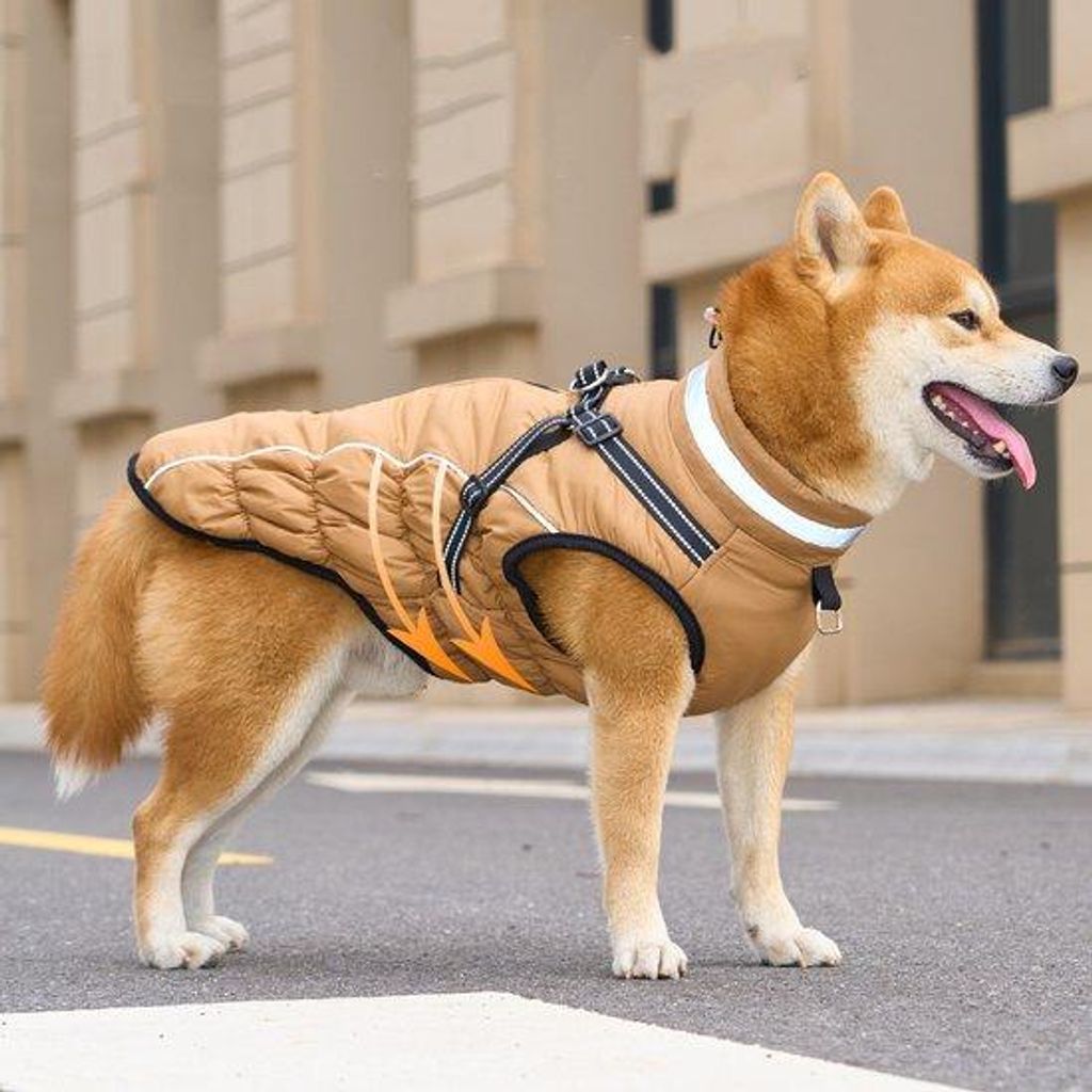 Wasserdichte Hundemantel mit integriertem Gurt, warmer Wintermantel für Hunde - reflektierende Fleece-Mantel - Hunde-Mäntel für kaltes Wetter - ...