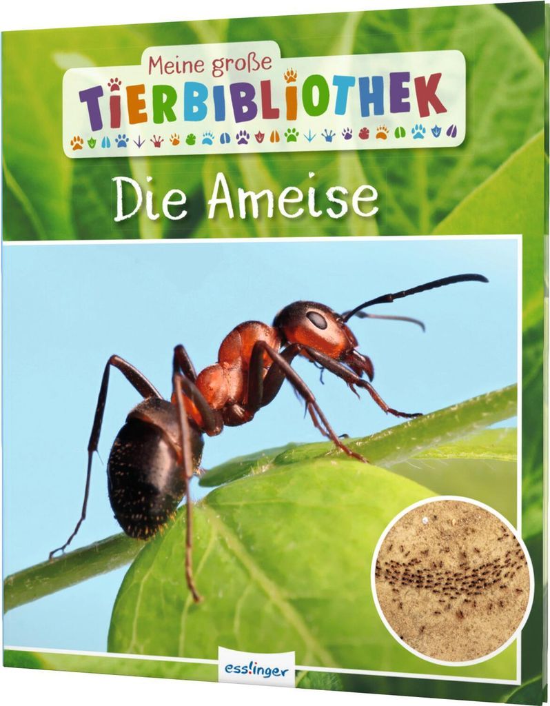Meine große Tierbibliothek: Die Ameise Produktbild 