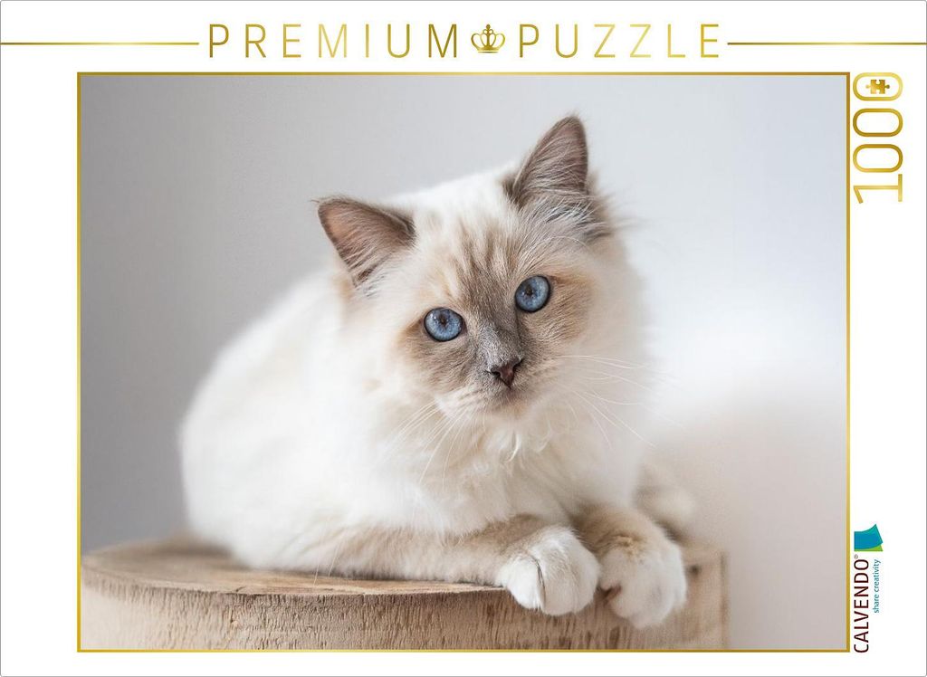 CALVENDO Puzzle Heilige Brima Katze - Kalani | 1000 Teile Lege-Größe 64x48cm Foto-Puzzle für glückliche Stunden