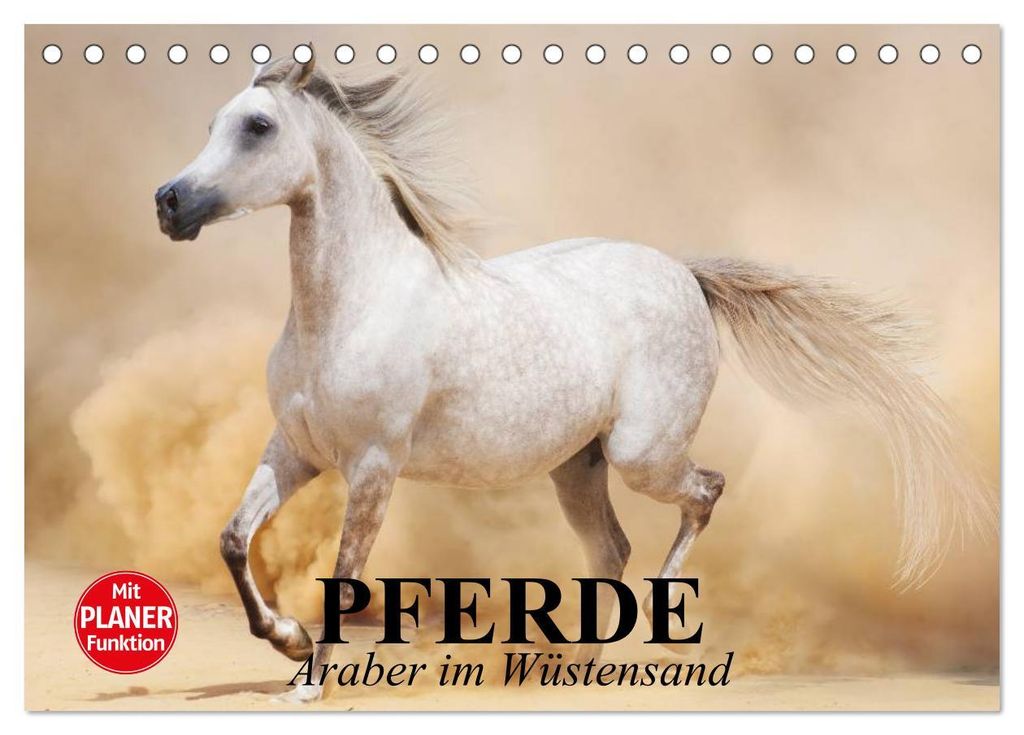 Pferde. Araber im Wüstensand (Tischkalender 2027 DIN A5 quer), CALVENDO Monatskalender