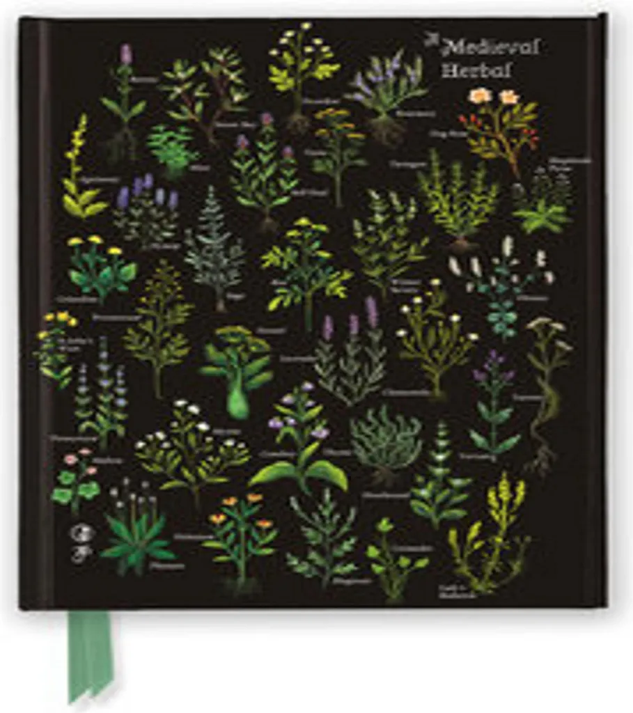 Anna Stead: Un'erba medievale Diario Sventato | Notebook Artistico